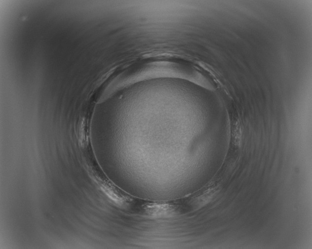 X0000083970428200702161108