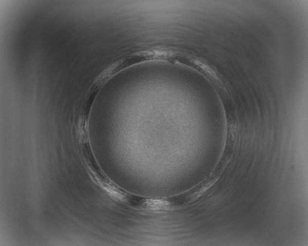X0000083970429200702161108