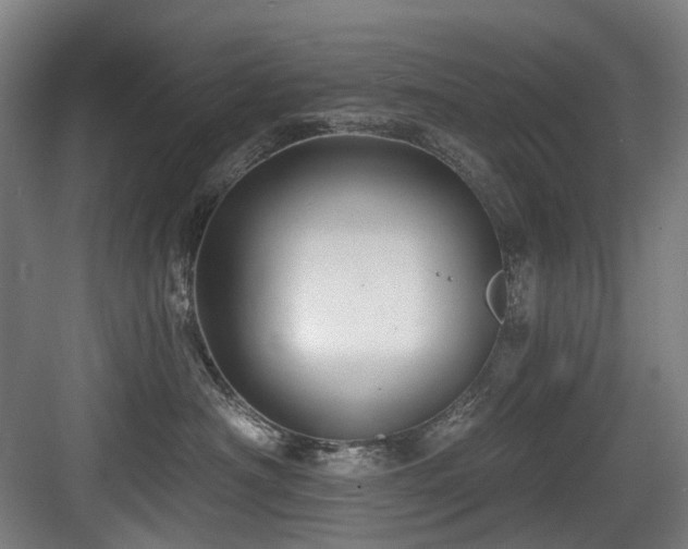 X0000083970430200702161108