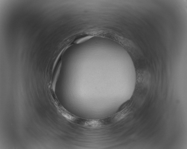 X0000083970431200702161108
