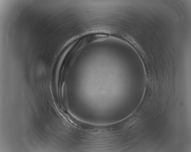 X0000083970434200702161107