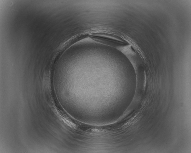 X0000083970442200702161108