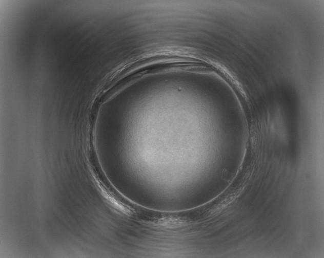 X0000083970445200702161108