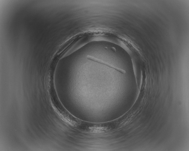 X0000083970448200702161108
