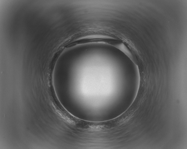 X0000083970450200702161108