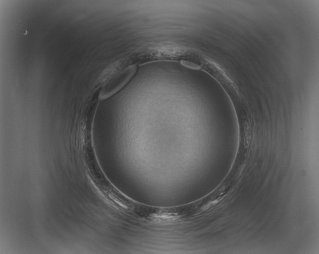 X0000083970451200702161108