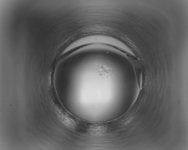 X0000083970454200702161108