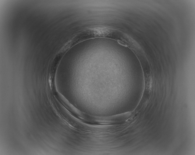 X0000083970456200702161108