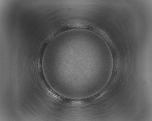 X0000083970457200702161108
