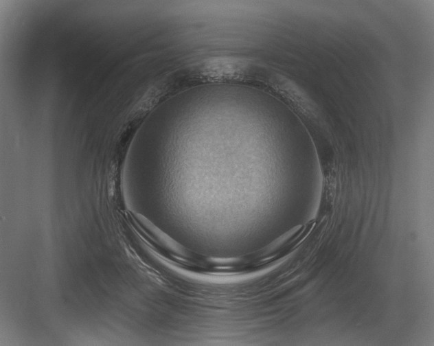 X0000083970458200702161108