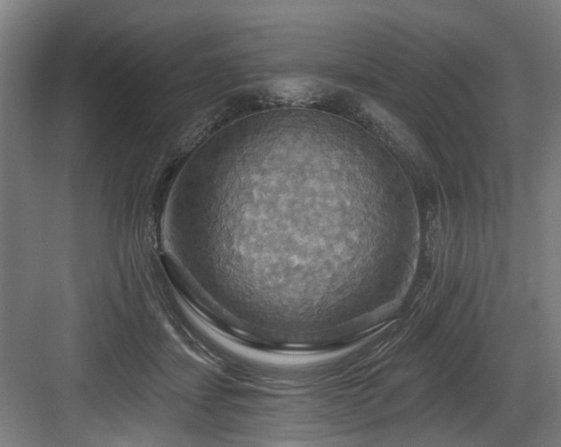 X0000083970459200702161108