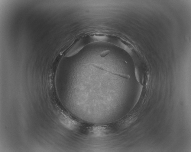 X0000083970462200702161108