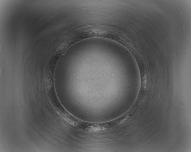 X0000083970464200702161108