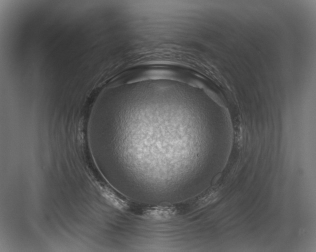 X0000083970466200702161108