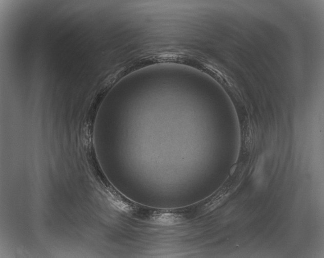 X0000083970467200702161108
