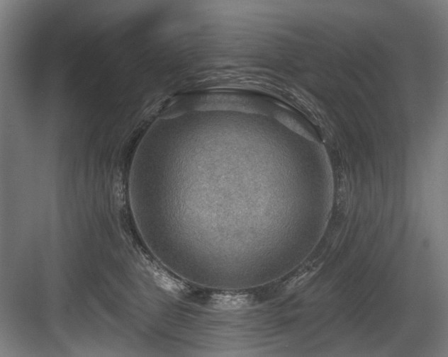 X0000083970469200702161108