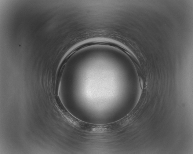 X0000083970470200702161108