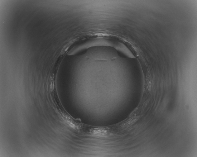 X0000083970471200702161108