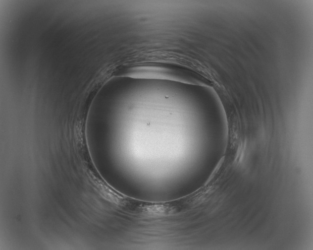 X0000083970473200702161108