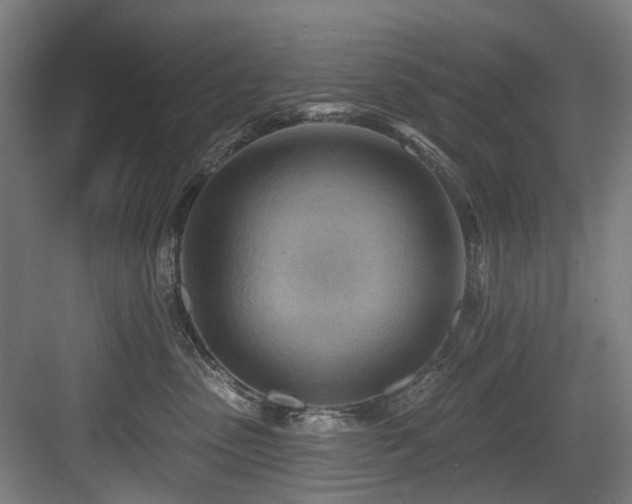 X0000083970475200702161108