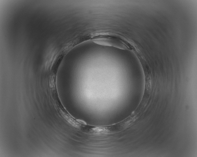 X0000083970477200702161108