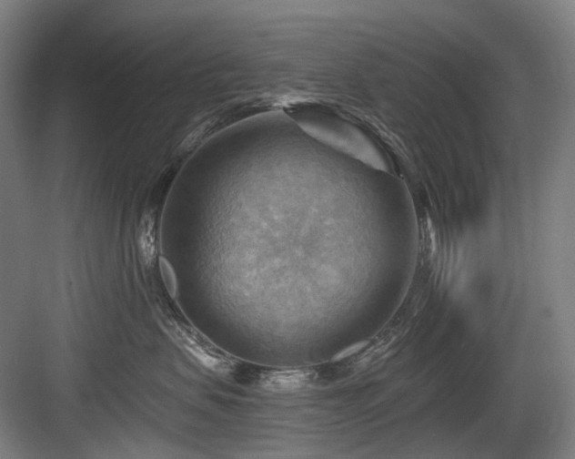 X0000083970479200702161108