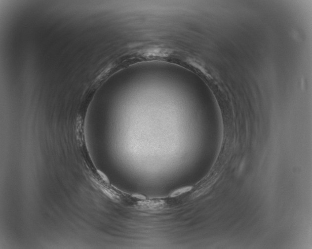 X0000083970480200702161108