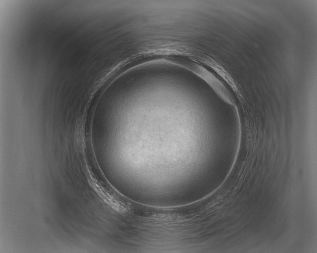 X0000083970482200702161107