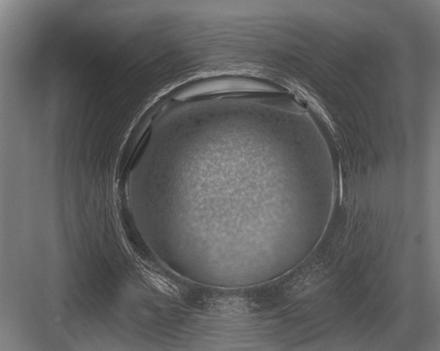 X0000083970483200702161107