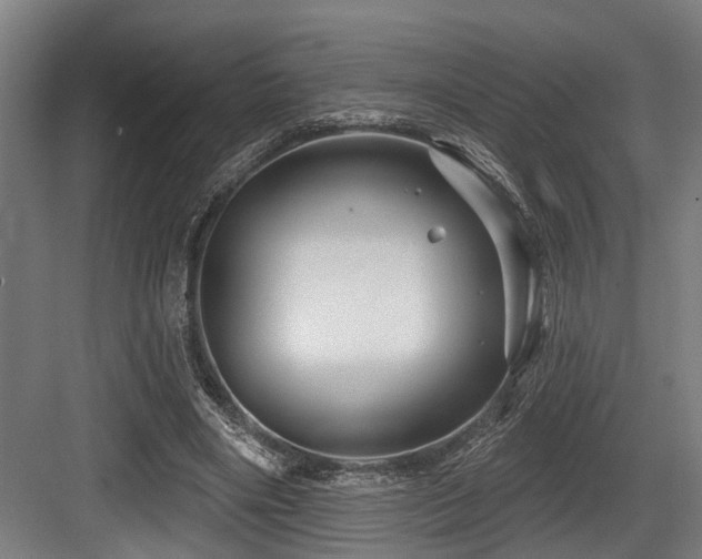 X0000083970490200702161107
