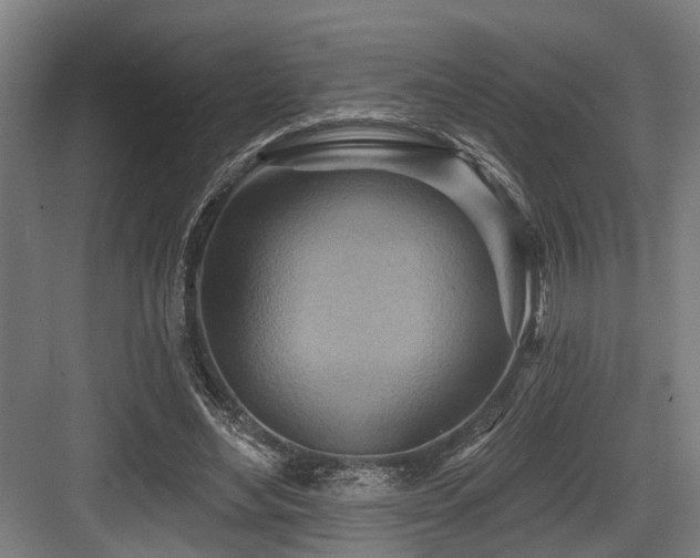 X0000083970492200702161107