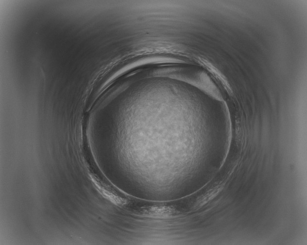 X0000083970493200702161107