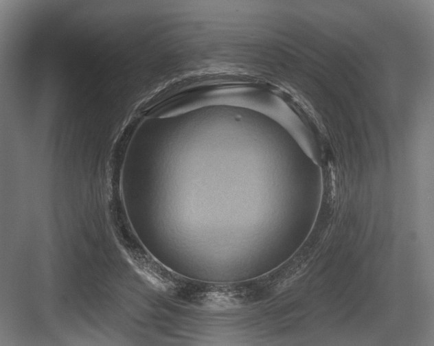X0000083970496200702161107