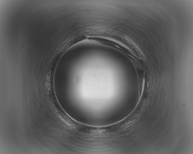 X0000083970497200702161107