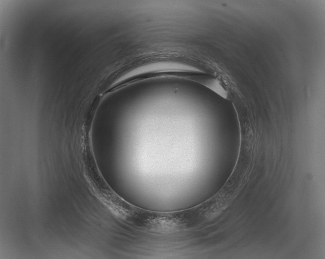 X0000083970498200702161107