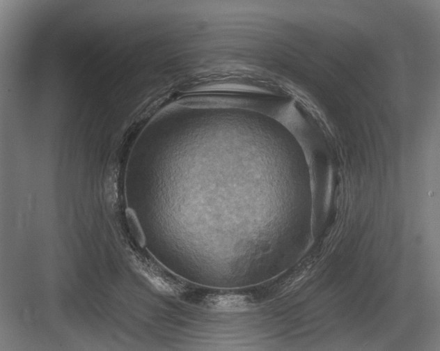 X0000083970501200702161107