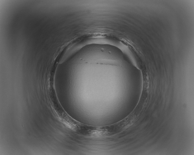 X0000083970504200702161107
