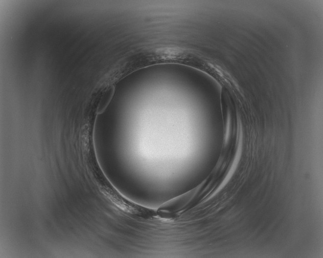 X0000083970509200702161107