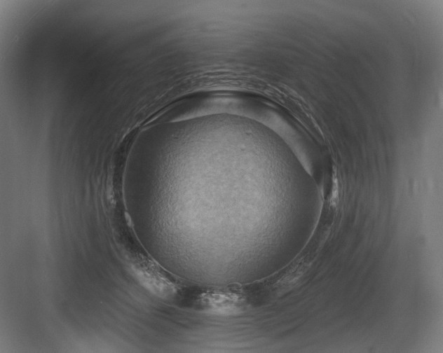 X0000083970512200702161107