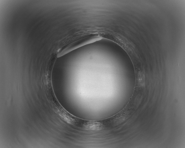 X0000083970514200702161107