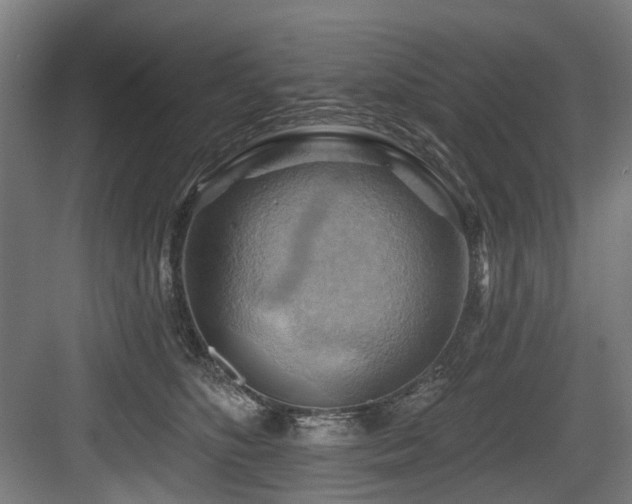 X0000083970516200702161107