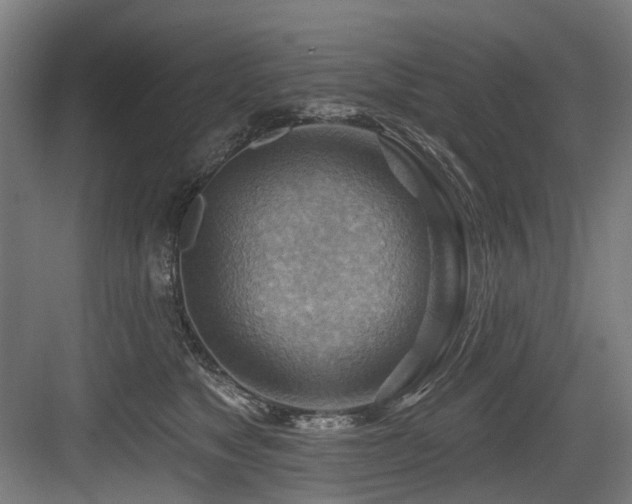 X0000083970517200702161107