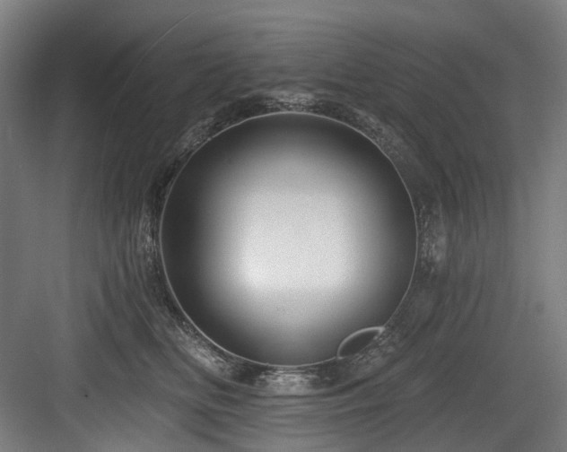 X0000083970518200702161107