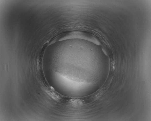 X0000083970520200702161107