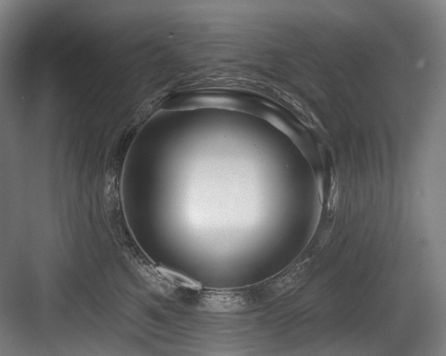 X0000083970521200702161107