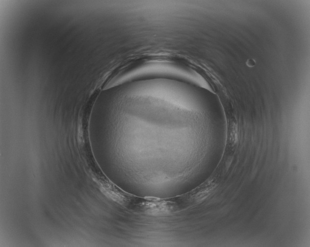 X0000083970524200702161107