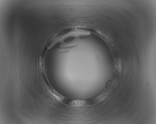 X0000083970526200702161107