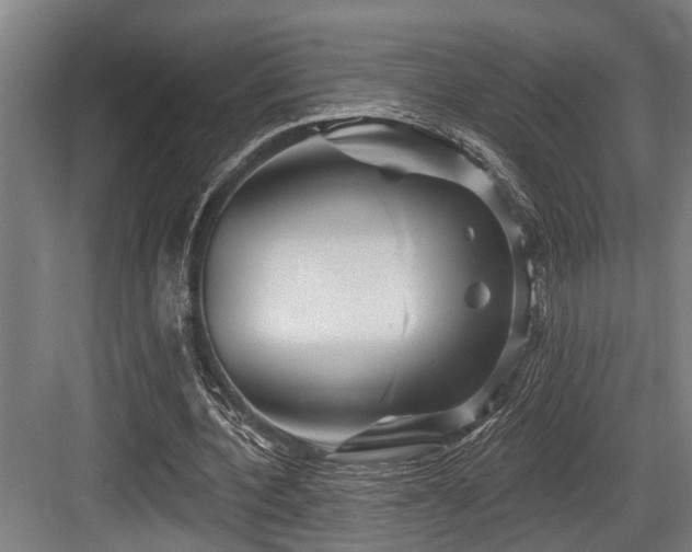X0000083970532200702161106
