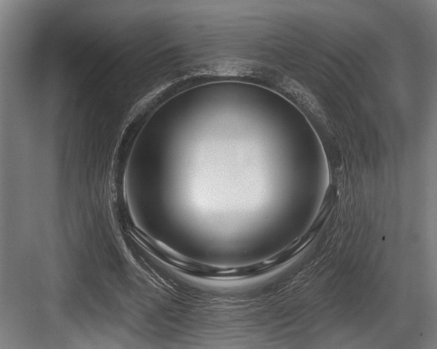 X0000083970536200702161106