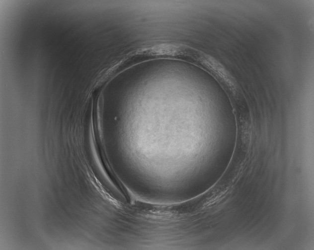X0000083970537200702161106